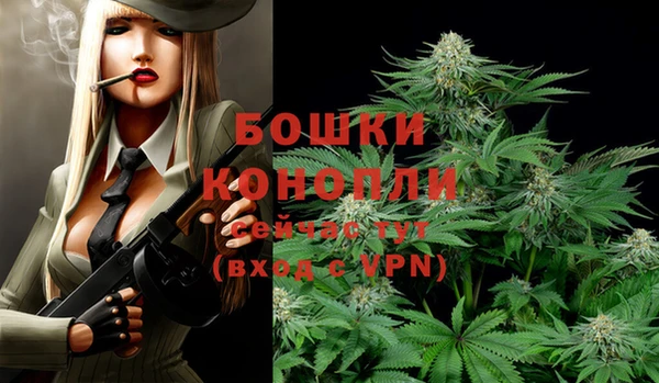 jwh Ельня