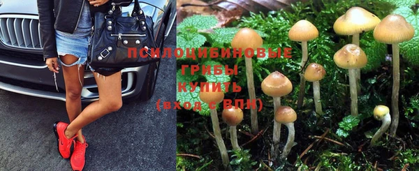 трава Елизово