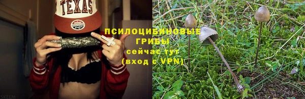 трава Елизово