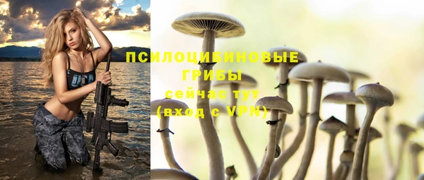 трава Елизово